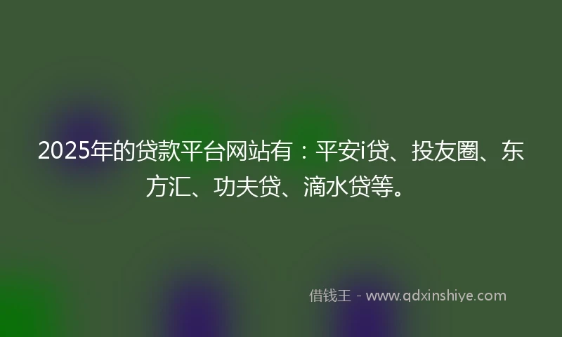 2025年的贷款平台网站有：平安i贷、投友圈、东方汇、功夫贷、滴水贷等。