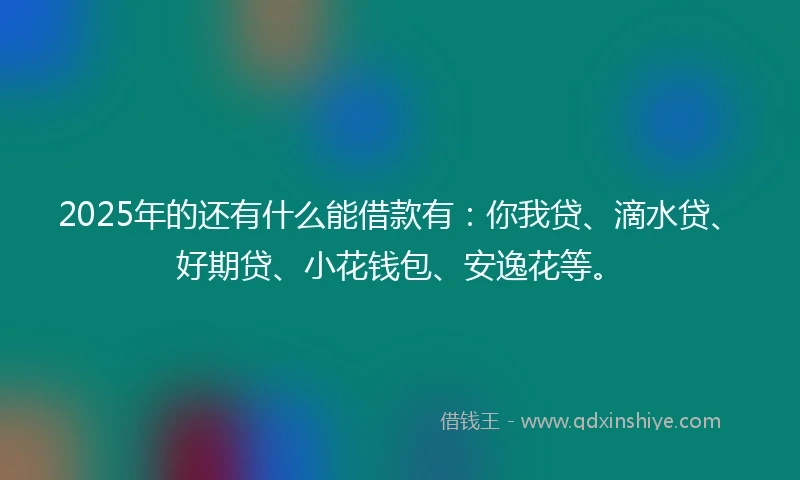 2025年的还有什么能借款有：你我贷、滴水贷、好期贷、小花钱包、安逸花等。