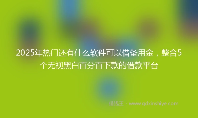 2025年热门还有什么软件可以借备用金，整合5个无视黑白百分百下款的借款平台
