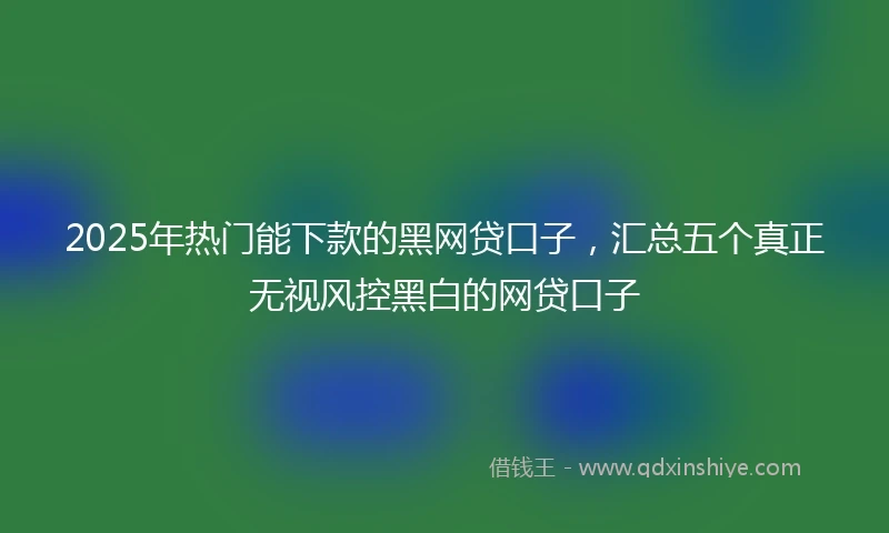 2025年热门能下款的黑网贷口子，汇总五个真正无视风控黑白的网贷口子