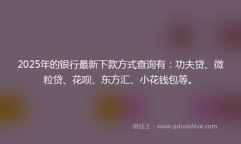 2025年的银行最新下款方式查询有：功夫贷、微粒贷、花呗、东方汇、小花钱包等。