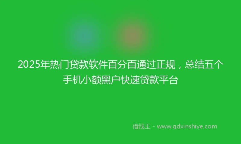 2025年热门贷款软件百分百通过正规，总结五个手机小额黑户快速贷款平台