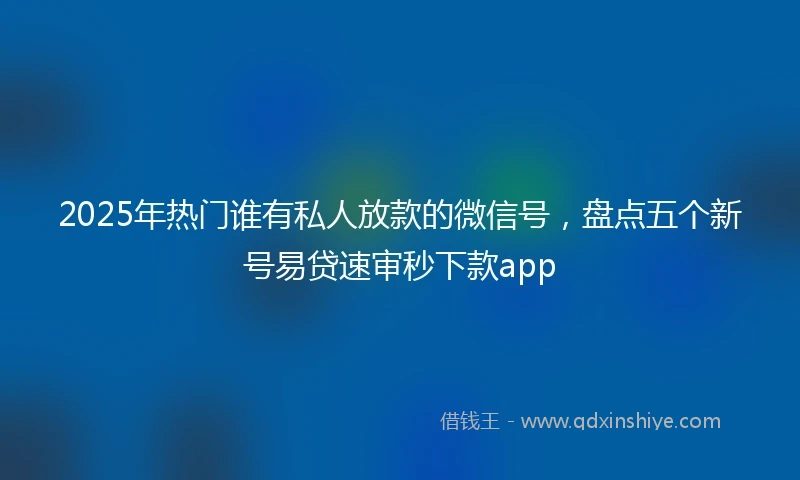 2025年热门谁有私人放款的微信号，盘点五个新号易贷速审秒下款app