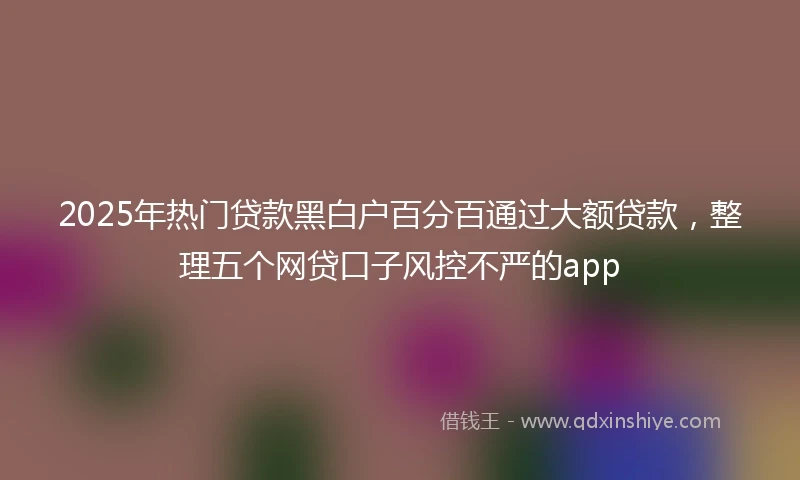 2025年热门贷款黑白户百分百通过大额贷款，整理五个网贷口子风控不严的app