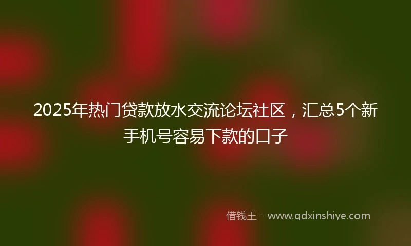 2025年热门贷款放水交流论坛社区，汇总5个新手机号容易下款的口子