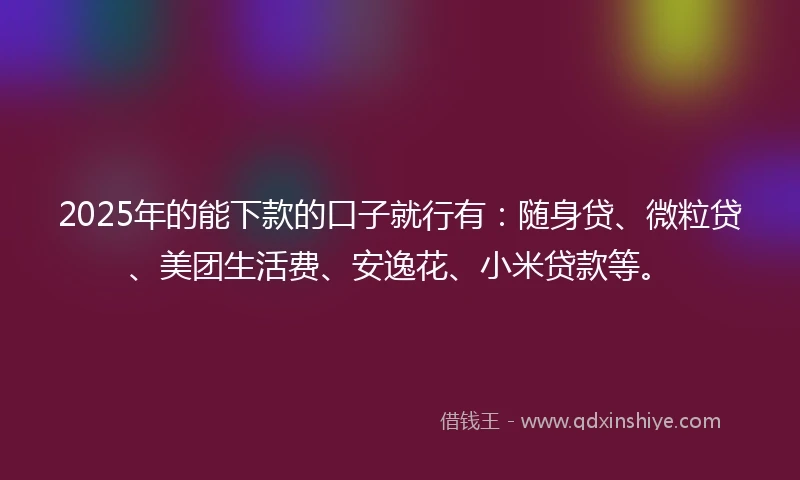 2025年的能下款的口子就行有：随身贷、微粒贷、美团生活费、安逸花、小米贷款等。