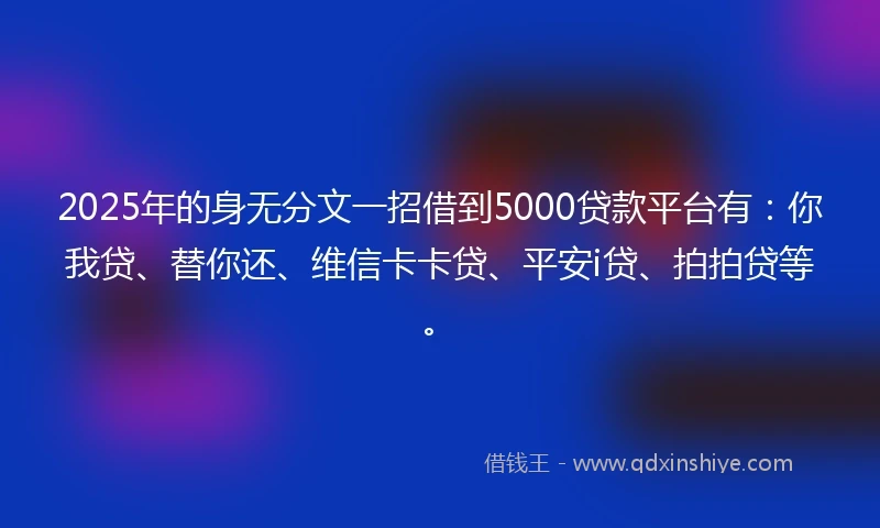 2025年的身无分文一招借到5000贷款平台有：你我贷、替你还、维信卡卡贷、平安i贷、拍拍贷等。