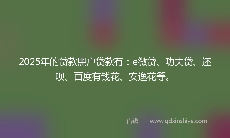 2025年的贷款黑户贷款有：e微贷、功夫贷、还呗、百度有钱花、安逸花等。