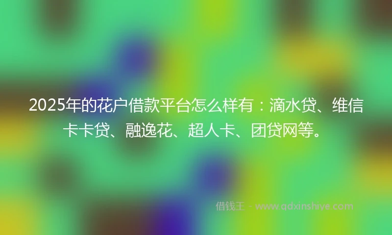 2025年的花户借款平台怎么样有：滴水贷、维信卡卡贷、融逸花、超人卡、团贷网等。