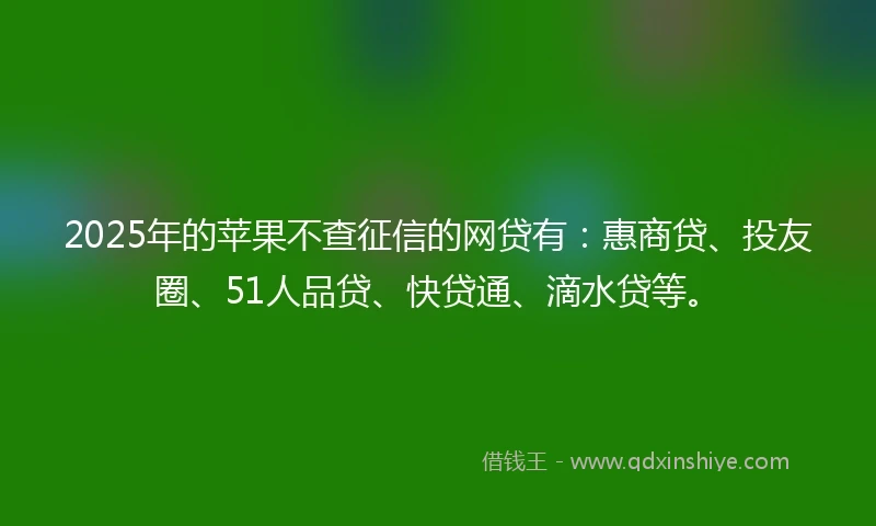 2025年的苹果不查征信的网贷有：惠商贷、投友圈、51人品贷、快贷通、滴水贷等。