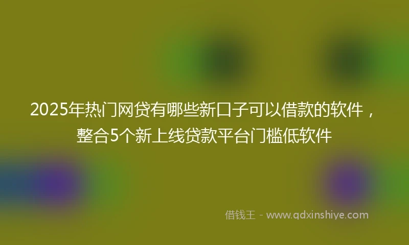 2025年热门网贷有哪些新口子可以借款的软件，整合5个新上线贷款平台门槛低软件