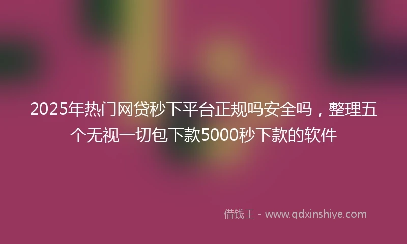 2025年热门网贷秒下平台正规吗安全吗，整理五个无视一切包下款5000秒下款的软件