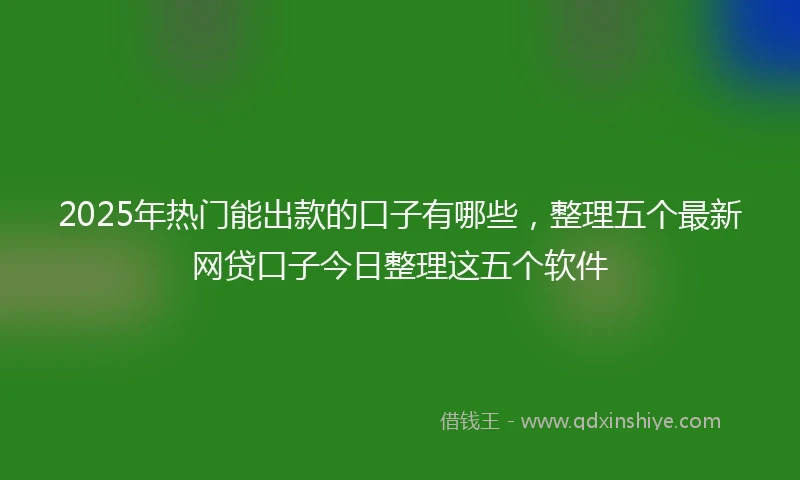 2025年热门能出款的口子有哪些，整理五个最新网贷口子今日整理这五个软件