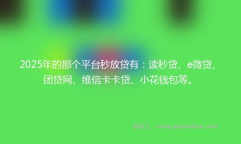 2025年的那个平台秒放贷有：读秒贷、e微贷、团贷网、维信卡卡贷、小花钱包等。
