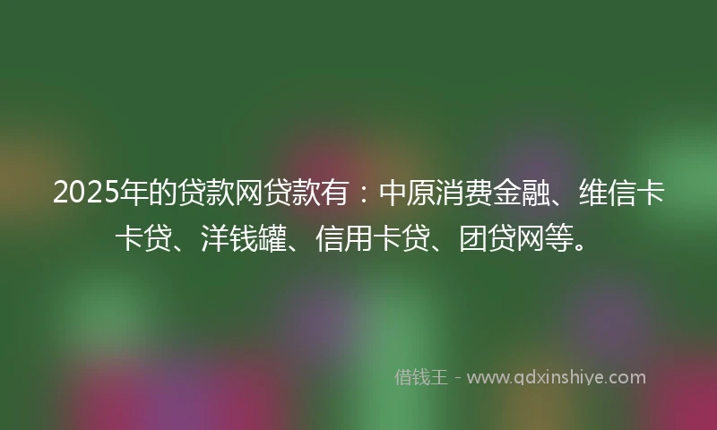 2025年的贷款网贷款有：中原消费金融、维信卡卡贷、洋钱罐、信用卡贷、团贷网等。