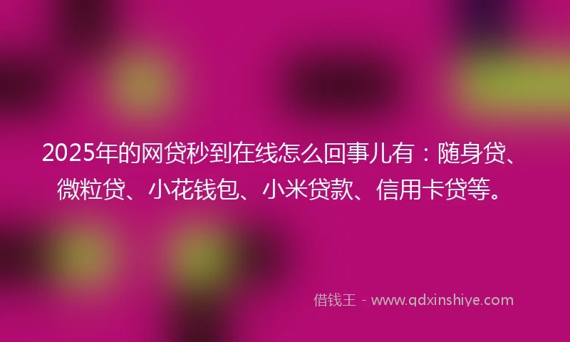 2025年的网贷秒到在线怎么回事儿有：随身贷、微粒贷、小花钱包、小米贷款、信用卡贷等。