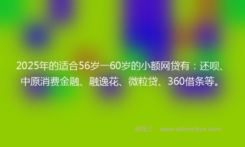 2025年的适合56岁一60岁的小额网贷有：还呗、中原消费金融、融逸花、微粒贷、360借条等。