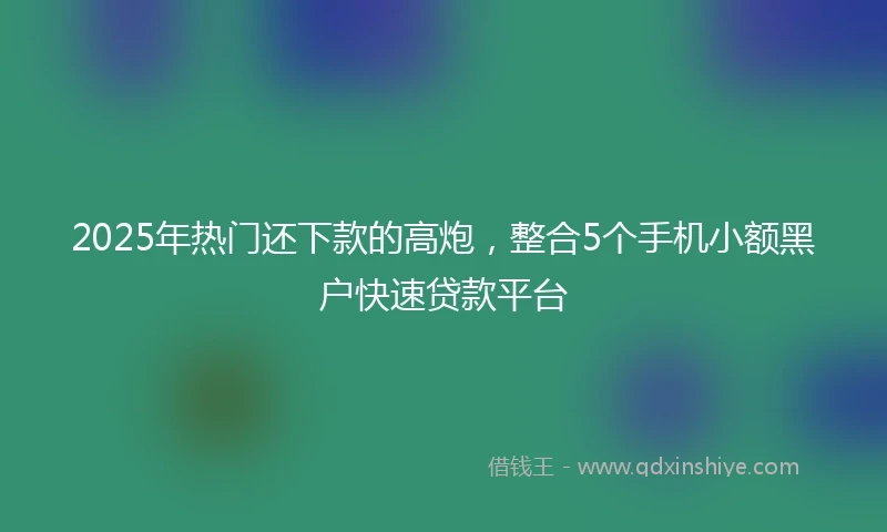 2025年热门还下款的高炮，整合5个手机小额黑户快速贷款平台