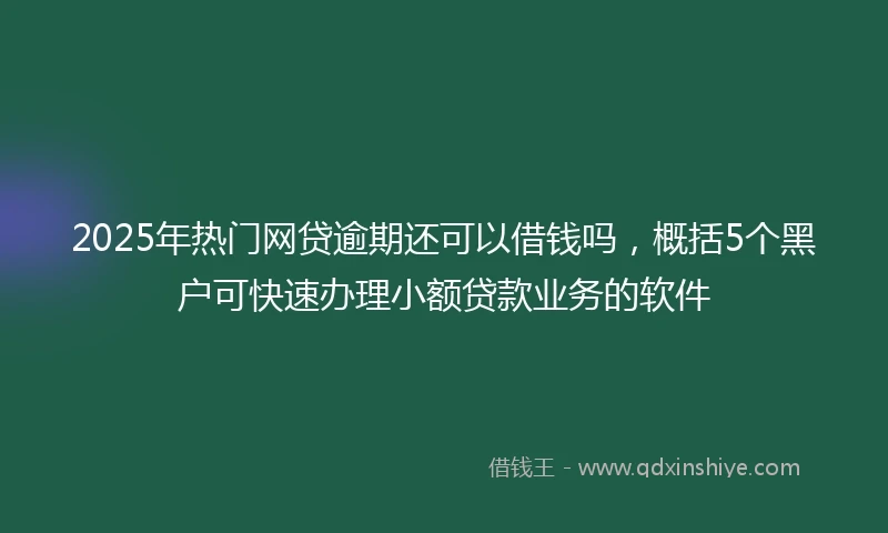 2025年热门网贷逾期还可以借钱吗，概括5个黑户可快速办理小额贷款业务的软件
