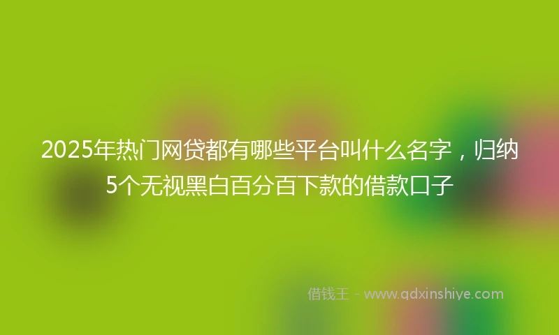 2025年热门网贷都有哪些平台叫什么名字，归纳5个无视黑白百分百下款的借款口子