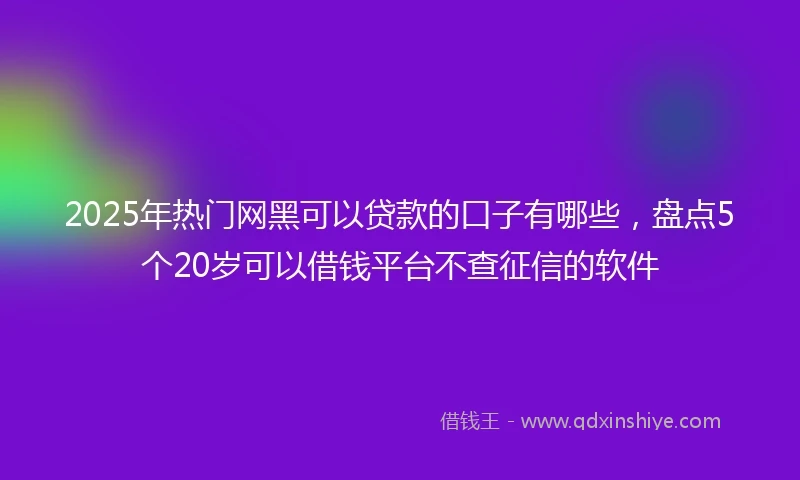 2025年热门网黑可以贷款的口子有哪些，盘点5个20岁可以借钱平台不查征信的软件