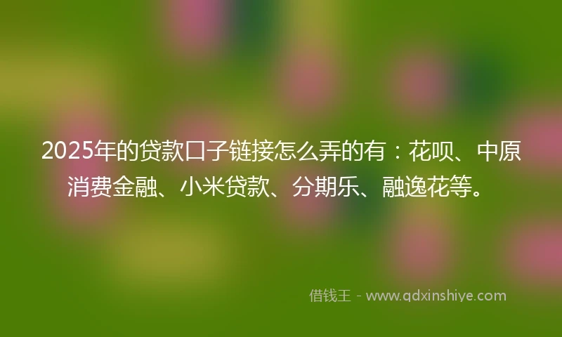 2025年的贷款口子链接怎么弄的有：花呗、中原消费金融、小米贷款、分期乐、融逸花等。