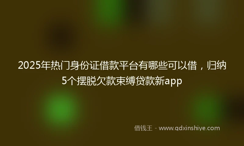 2025年热门身份证借款平台有哪些可以借，归纳5个摆脱欠款束缚贷款新app