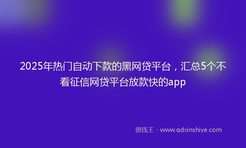 2025年热门自动下款的黑网贷平台，汇总5个不看征信网贷平台放款快的app