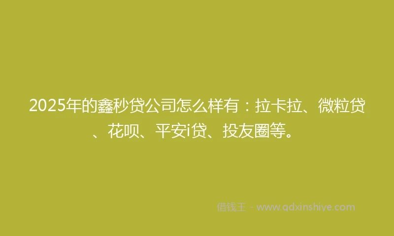 2025年的鑫秒贷公司怎么样有：拉卡拉、微粒贷、花呗、平安i贷、投友圈等。