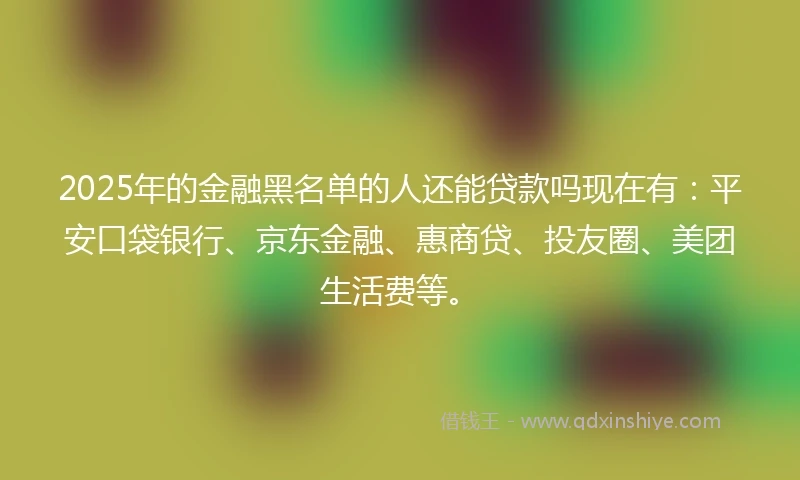 2025年的金融黑名单的人还能贷款吗现在有：平安口袋银行、京东金融、惠商贷、投友圈、美团生活费等。