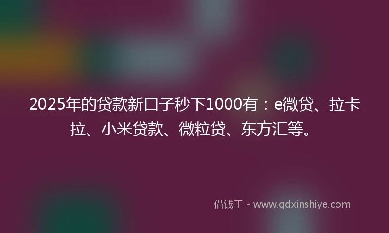 2025年的贷款新口子秒下1000有：e微贷、拉卡拉、小米贷款、微粒贷、东方汇等。