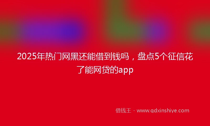 2025年热门网黑还能借到钱吗，盘点5个征信花了能网贷的app
