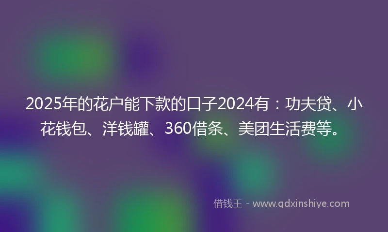 2025年的花户能下款的口子2024有：功夫贷、小花钱包、洋钱罐、360借条、美团生活费等。