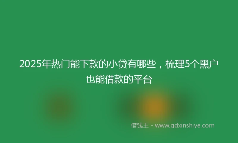 2025年热门能下款的小贷有哪些，梳理5个黑户也能借款的平台