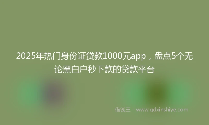 2025年热门身份证贷款1000元app，盘点5个无论黑白户秒下款的贷款平台