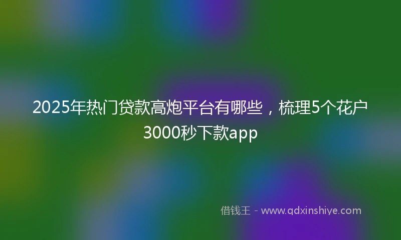 2025年热门贷款高炮平台有哪些，梳理5个花户3000秒下款app