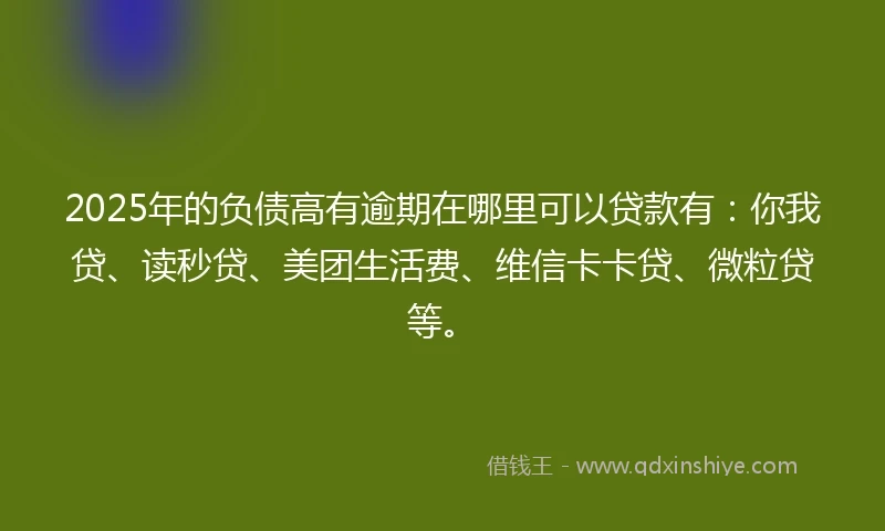 2025年的负债高有逾期在哪里可以贷款有：你我贷、读秒贷、美团生活费、维信卡卡贷、微粒贷等。