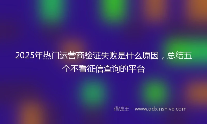 2025年热门运营商验证失败是什么原因，总结五个不看征信查询的平台