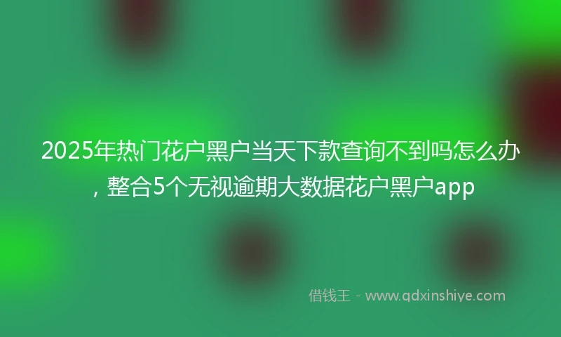 2025年热门花户黑户当天下款查询不到吗怎么办，整合5个无视逾期大数据花户黑户app