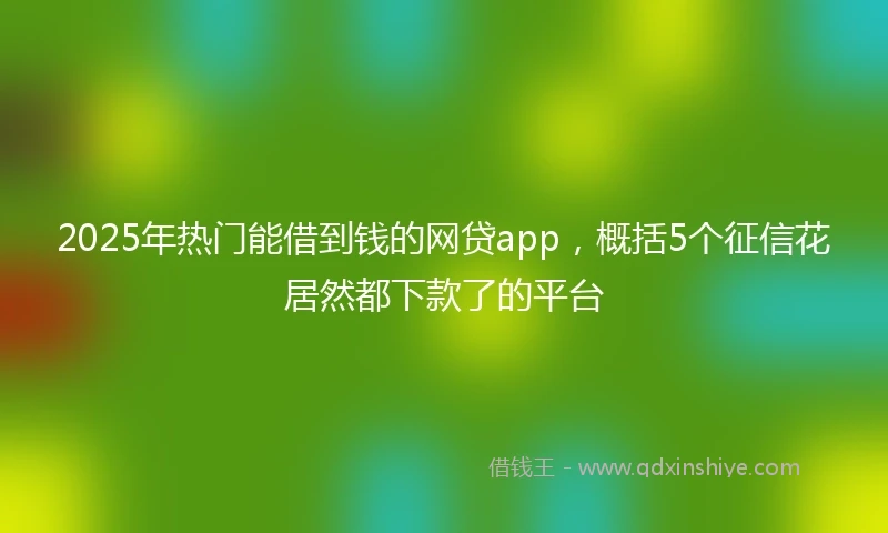 2025年热门能借到钱的网贷app，概括5个征信花居然都下款了的平台