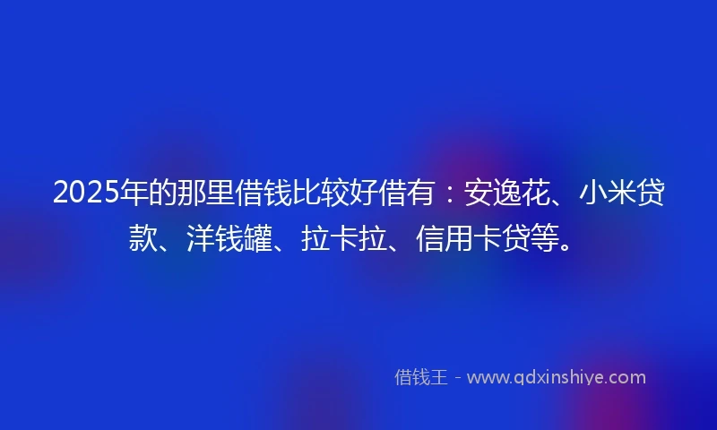 2025年的那里借钱比较好借有：安逸花、小米贷款、洋钱罐、拉卡拉、信用卡贷等。