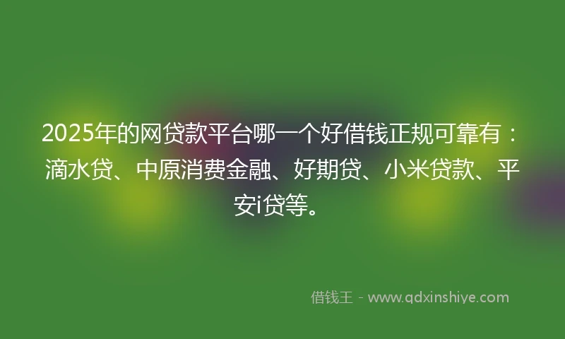 2025年的网贷款平台哪一个好借钱正规可靠有：滴水贷、中原消费金融、好期贷、小米贷款、平安i贷等。