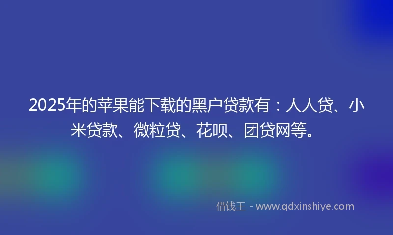2025年的苹果能下载的黑户贷款有：人人贷、小米贷款、微粒贷、花呗、团贷网等。