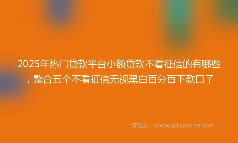 2025年热门贷款平台小额贷款不看征信的有哪些，整合五个不看征信无视黑白百分百下款口子