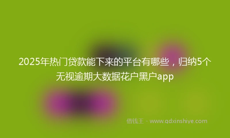 2025年热门贷款能下来的平台有哪些，归纳5个无视逾期大数据花户黑户app