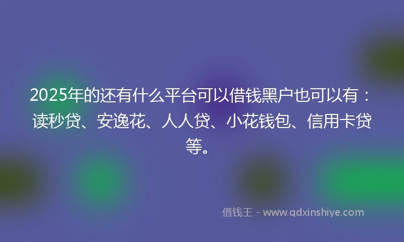 2025年的还有什么平台可以借钱黑户也可以有：读秒贷、安逸花、人人贷、小花钱包、信用卡贷等。
