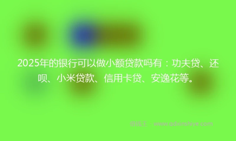 2025年的银行可以做小额贷款吗有：功夫贷、还呗、小米贷款、信用卡贷、安逸花等。