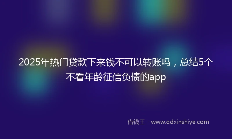 2025年热门贷款下来钱不可以转账吗，总结5个不看年龄征信负债的app