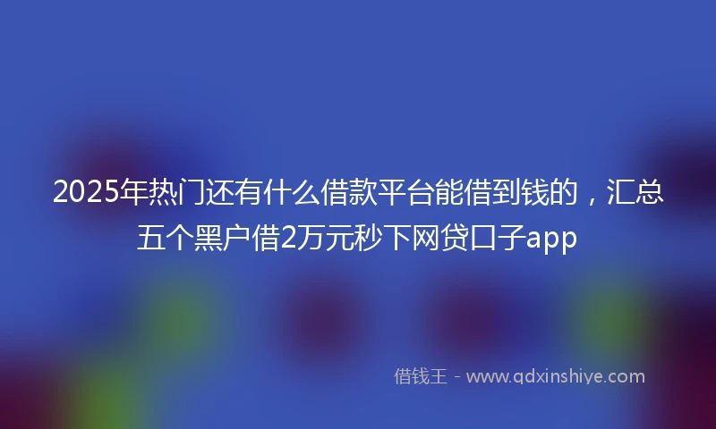 2025年热门还有什么借款平台能借到钱的，汇总五个黑户借2万元秒下网贷口子app