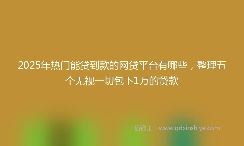 2025年热门能贷到款的网贷平台有哪些，整理五个无视一切包下1万的贷款